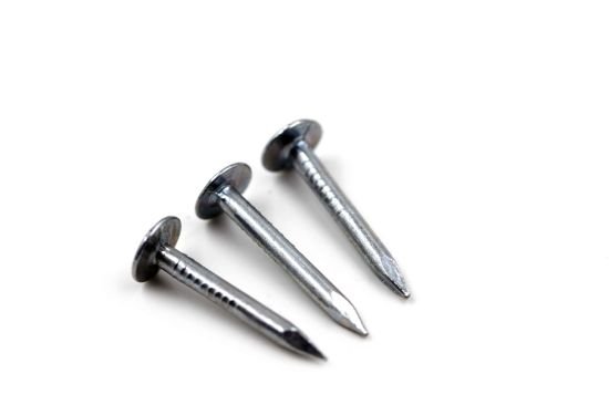 Ceiling Nails